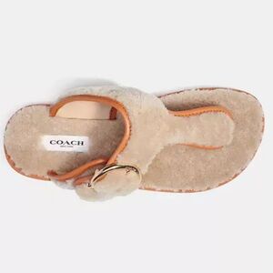 Coach Hollie Flip Flops Sandals